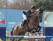 De Filippo Windrose TosTour 2013- S5 7513 : Arezzo Equestrian Centre, De Filippo Luisa, Toscana Tour 2013, Windrose, foto di Stefano Secchi ©